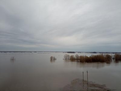 Уровень воды в Оке в Рязани упал ещё на 26 сантиметров